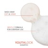 joico-youthlock-shampoo-300ml 4 Joico YouthLock балсам за зряла коса 250 ml